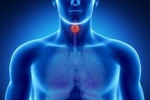 Щитовидная железа. Показана ли сауна? Часть 1-я
